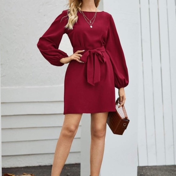 lantern long sleeve belted mini dress - Picture 12 of 14